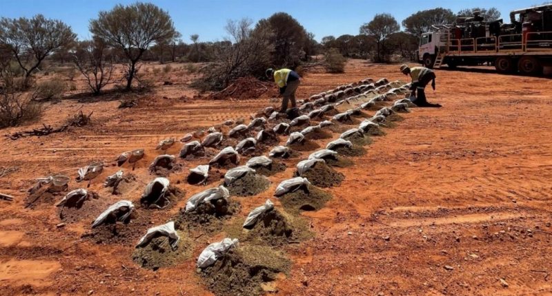 RC drilling at Cork Tree Well.